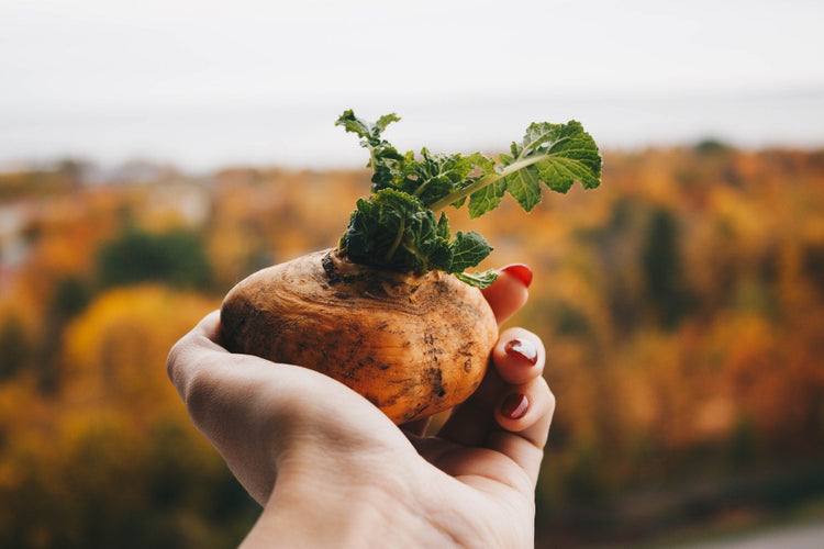 woman holding maca root